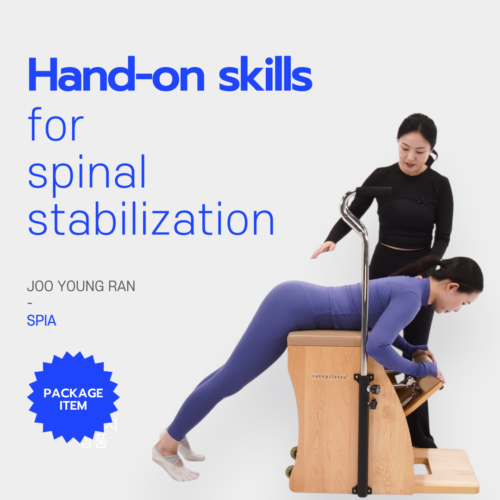 Hand-on skills  for spinal stabilization [ 1mo limit ]