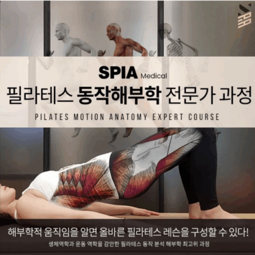 필라테스 동작 해부학 Unit 1 움직임&코어
