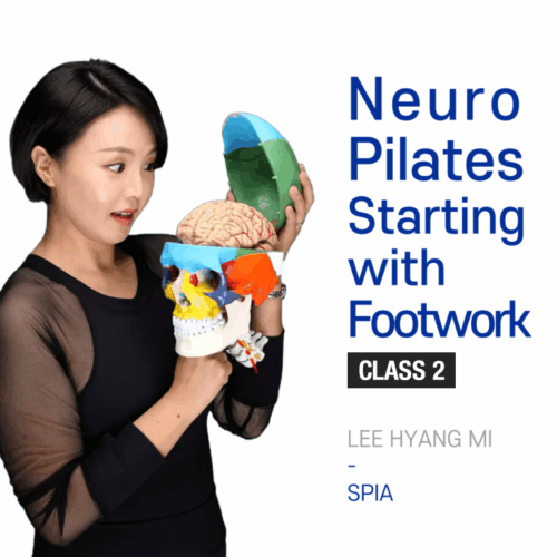 Neuro-Pilates Starting with Footwork Class2